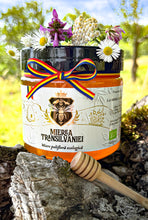 Încarcă imaginea în vizualizatorul Galerie, 🌸Miere polifloră 900g