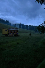 Încarcă imaginea în vizualizatorul Galerie, 🌲Miere de mană 900g