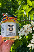 Încarcă imaginea în vizualizatorul Galerie, Miere de salcâm ecologică