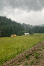 Încarcă imaginea în vizualizatorul Galerie, 🌲Miere de mană