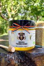 Încarcă imaginea în vizualizatorul Galerie, Miere de salcâm ecologică

